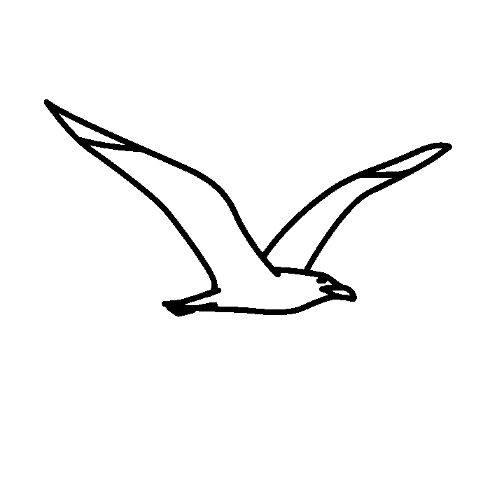 Möwe flattert